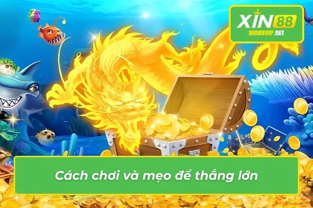 Bắn Cá Xèng Xin88 – Trò Chơi Giải Trí Với Cơ Hội Thắng Lớn Không thể bỏ qua những cách chơi và mẹo chơi bắn cá xèng